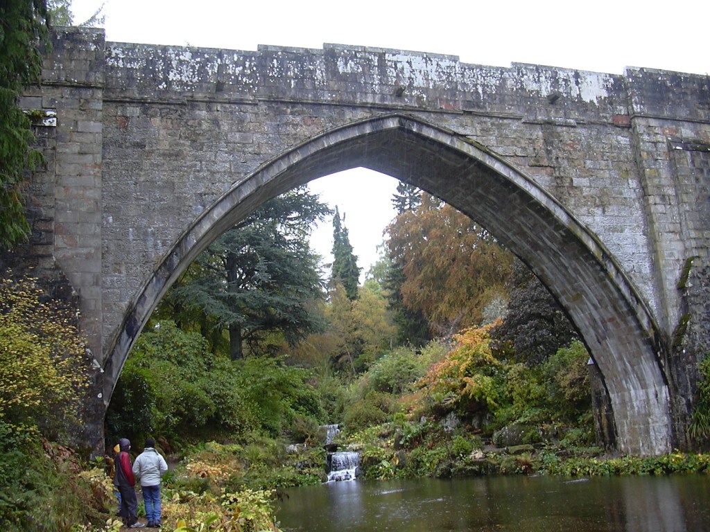 Old railway arch, with a stream flowing under it from a small waterfall, surrounded my dense, autumnal forestry.