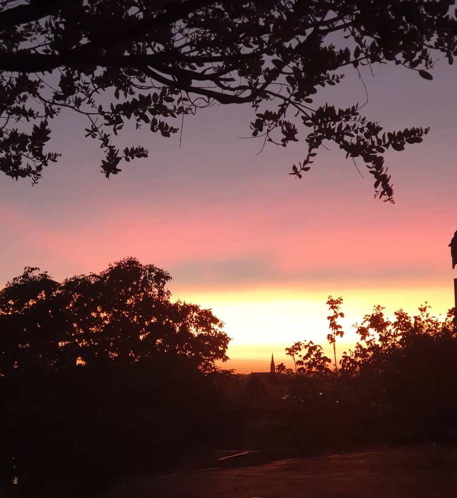 Pink and gold sunset through the shadow of trees in Perth, Western Australia