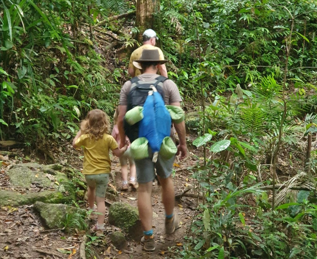 Two men and a small girl hike through the forrest. 